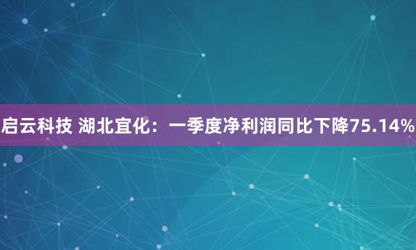 启云科技 湖北宜化：一季度净利润同比下降75.14%