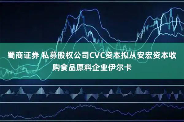 蜀商证券 私募股权公司CVC资本拟从安宏资本收购食品原料企业伊尔卡