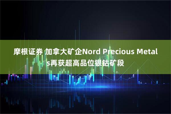 摩根证券 加拿大矿企Nord Precious Metals再获超高品位银钴矿段