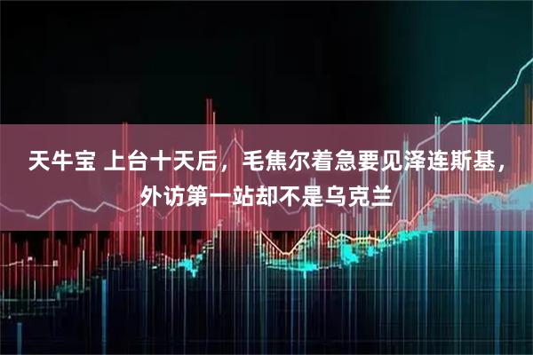 天牛宝 上台十天后，毛焦尔着急要见泽连斯基，外访第一站却不是乌克兰